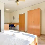 Apartment Lovely In With Wifi